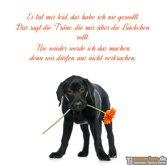 Spruch es tut mir leid